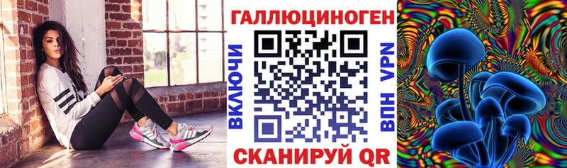 Псилоцибиновые грибы GOLDEN TEACHER  Купить где  Дзержинск 
